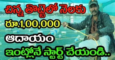 कृपया ! छोटे व्यवसाय के विचार! नए बिजनेस आइडिया! व्यापारिक विचार! कम निवेश वाला बिजनेस आइडिया